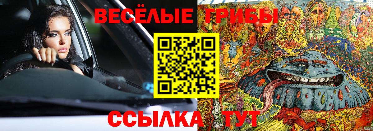 Нижнекамск  Галлюциногенные грибы GOLDEN TEACHER  Псилоцибиновые грибы Psilocybine cubensis  Вход с VPN 