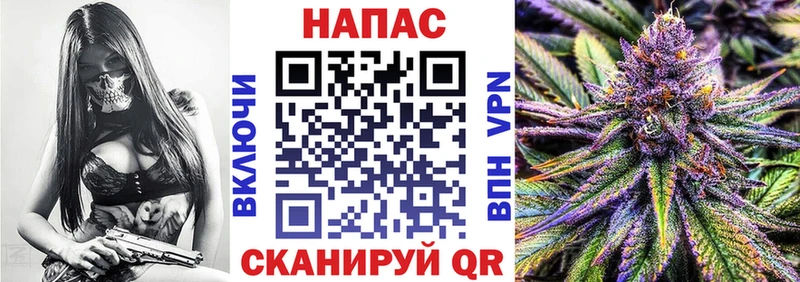 магазин продажи наркотиков  Нижнекамск  Канабис планчик 